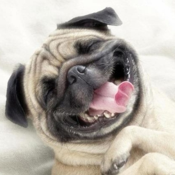 Meet your Posher, Jay - Picture 1 of 1